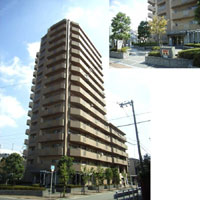 �t�@�~�[�������� �O�ώʐ^