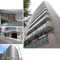 �t�h�E�����x�n�C�c �O�ώʐ^