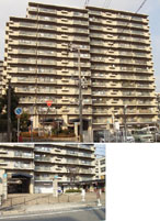 �O���[���V�e�B�n�r�`�j�`2���� �O�ώʐ^