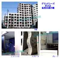 �O�����h�V�[�Y�Z�V�] �O�ώʐ^