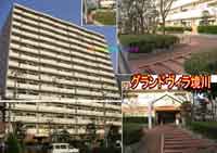 �O�����h���B������ �O�ώʐ^