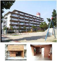 �O�����h���B������ �O�ώʐ^