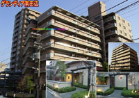 �O�����f�B�A��c�� �O�ώʐ^