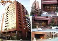 �{���Z���g�����n�C�c �O�ώʐ^