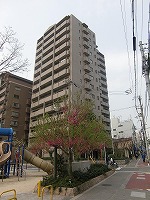 �C�g�[�s�A���{�쓍���r���� �O�ώʐ^