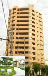 �C�g�[�s�A��c�Ӄp�[�N�E�r���[ �O�ώʐ^