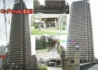 �L���O�}���V���������� �O�ώʐ^