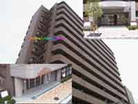 �ݸ��ݼ�݃G�s�V�I�����g���E�F�X�g�f�B�I �O�ώʐ^