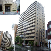 �L���O�}���V�����]�˖x �O�ώʐ^