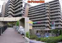 �L���O�}���V���������V �O�ώʐ^