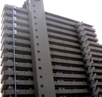 �L���O�}���V���������X �O�ώʐ^