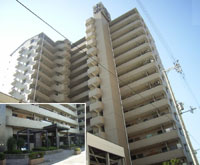 �L���O�}���V���������Y �O�ώʐ^