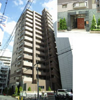 �L���O�}���V���������x�G�N�V�I �O�ώʐ^