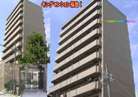 �L���O�}���V���������T �O�ώʐ^