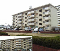 ���Ԍ����N���Z��(��J)�a�� �O�ώʐ^