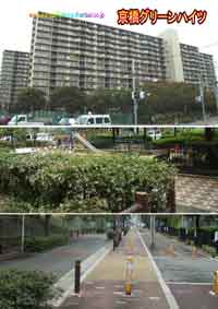 �����O���[���n�C�c�@�Q���� �O�ώʐ^