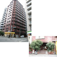 ���C�I���Y�}���V�����]�˖x������ �O�ώʐ^