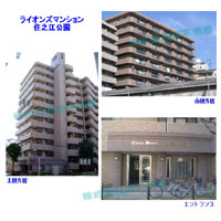 ���C�I���Y�}���V�����Z�V�]���� �O�ώʐ^