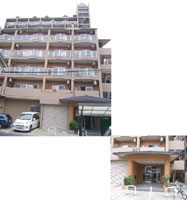 ���C�I���Y�}���V�����吳 �O�ώʐ^