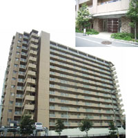 ���C�V���g���ٓV���x�C�g���C�u �O�ώʐ^