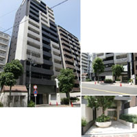 ���[�����A�C�x�] �O�ώʐ^