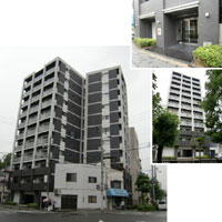 ���u�j�[�������x�p�[�N�t�����g �O�ώʐ^