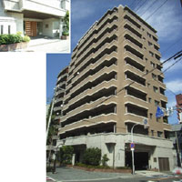 ���C�V���g���k�x�] �O�ώʐ^