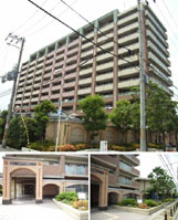 ���l�A���p�Z�I �O�ώʐ^