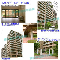 ���l�E�u���C�g�K�[�f�� �O�ώʐ^