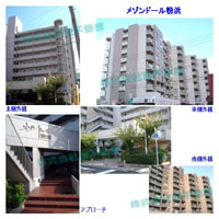 ���]���h�[�����l �O�ώʐ^