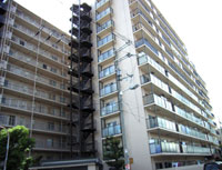 �}���n�C���ٓV�� �O�ώʐ^