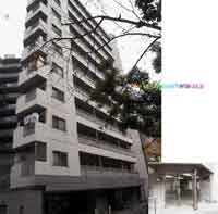 ���]�����g�� �O�ώʐ^