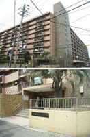 �쒩���R�[�| �O�ώʐ^