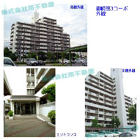 ����R�R�[�| �O�ώʐ^