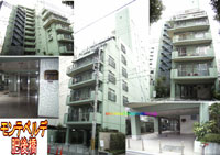 �����e�x���f��㋴ �O�ώʐ^