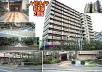 �m�o�J�l�C�`���g���U�Ԋ� �O�ώʐ^