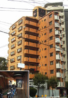 �m�o�J�l�C�`�����U�Ԋ� �O�ώʐ^