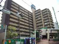 �m�o�J�l�C�`�吳 �O�ώʐ^