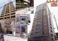 �l�o�[�����h��x�] �O�ώʐ^