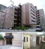 ������2�R�[�|���X �O�ώʐ^