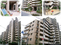 ��C�V�e�B�n�C�c�K�� �O�ώʐ^