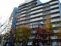 ��`�R�[�v������ 21���� �O�ώʐ^