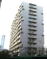 ��`�t���[�����n�C�c�Q�R���� �O�ώʐ^