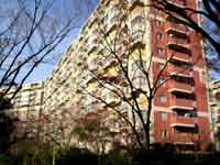 ��`�K�[�f���n�C�c23���� �O�ώʐ^