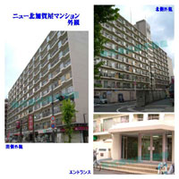 �j���[�k���ꉮ�}���V���� �O�ώʐ^