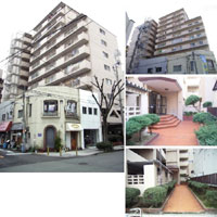 �j���[���C�t��g �O�ώʐ^