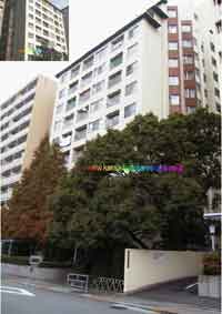 �����x�����̂��R�[�| �O�ώʐ^