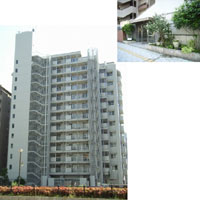 �����x�K�[�f���n�C�c �O�ώʐ^