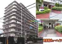 �����x�r���[�n�C�c �O�ώʐ^