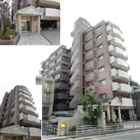 �m�o���{��V�Ԋ� �O�ώʐ^